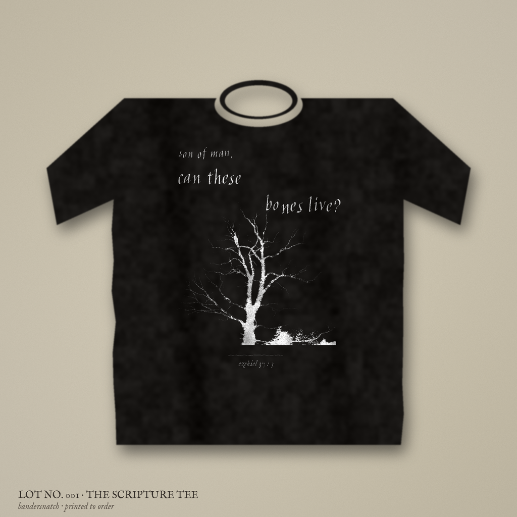 lot no. 001 the scripture tee